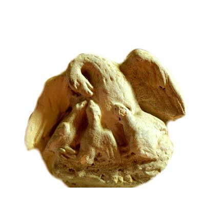 pelican