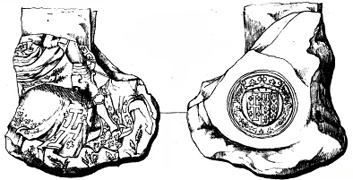 anjou 32