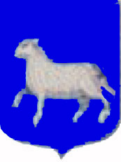 agnel 7