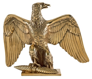 aigle-napo